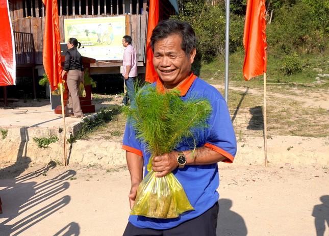 Học viện Âm nhạc Việt Nam tặng 100 nghìn cây thông giống ảnh 2
